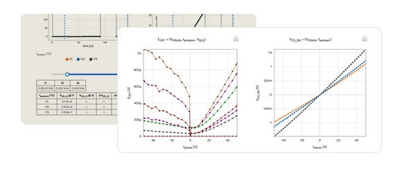 section image