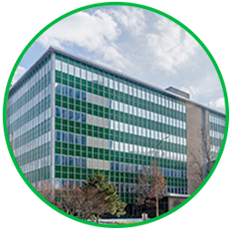 美国纽约Rochester