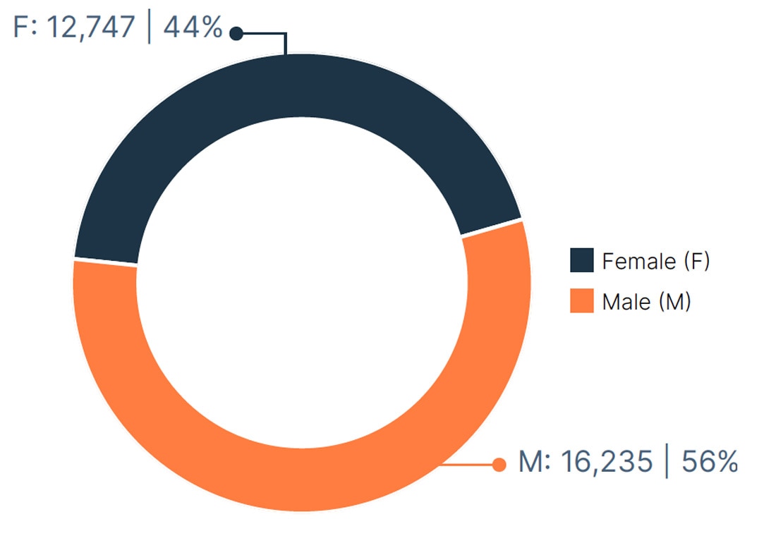 Worldwide Workforce by Gender